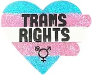 [COLORFUL BLING] LGBTQ Pride Brooch Rainbow Ally Progress Glitter Lapel Pin Gay Lesbian Trans Brooch