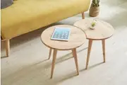 Ant Coffee Table