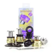 PFF60-301G POWERFLEX Front Lower Wishbone Bush, Camber Adjustable fit Renault