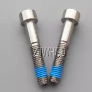 2pcs M8 x 45 mm Titanium Ti Screw Bolt Allen Hex Socket Cap Head + Thread Locker
