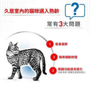 【ROYAL 法國皇家】室內熟齡貓專用飼料 IN+7 3.5KG(貓乾糧 貓飼料 降低便臭 化毛 腎臟健康)