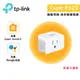TP-Link Tapo P125 迷你智慧智能插座 藍牙 Wi-Fi 無線網路 HomeKit 支援iPhone 14