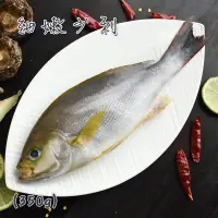 在飛比找台灣好農優惠-台東太平洋黑潮-黃雞魚(整尾三去；350g/包)