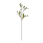 Gum Nut Stem Grey Green - 72cm