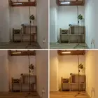 LED Reading And Craft Standing Light Full Spectrum Floor Lamp Table lamp Black