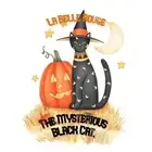 The Mysterious Black Cat: A Halloween Story by La Belle Rouge Paperback Book
