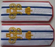 WW1 Shoulder straps of the Colonel of the don Cossack army, Repro