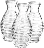 Cabilock 3Pcs Glass Diffuser Bottles Refillable Essential Oil Jars Elegant Home Decor for Aromatherapy and Fragrance Display Wide Mouth Design