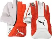 Puma Evo 2 - Cricket Wicket Keeping Gloves- Youth- (Age 12-14yrs)