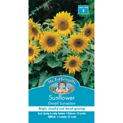 Mr Fothergill's Sunflower Dwarf Sunsation Flower Seeds