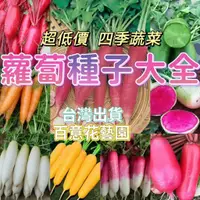 在飛比找蝦皮購物優惠-【百意花藝園】【胡蘿蔔種子】多彩胡蘿蔔 櫻桃蘿蔔種子 室內陽