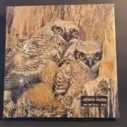 New Springbok Masters of the Night 500 Pieces Sealed 1970s