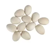 Mini Wood Eggs 12pcs Unfinished / Easter Spring Craft Ornament / DIY Toy / Decor