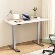 1 Electric Standing Desk Artiss Ergonomic Sit Stand Computer Desks 120cm