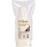 Armada Evergreen Sugarcane Pulp Cups 20 pack