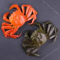 在飛比找蝦皮購物優惠-臺灣模具🥕🥕PVC塑膠仿真大閘蟹模型 影視拍攝螃蟹道具 兒童