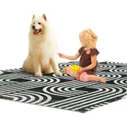 Catzon Geometric Patterns Area Rugs Non-Shedding Washable for Living Room-2