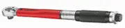 Teng 3892AG-E1 - Torque Wrench 3/8 Drive 5-25Nm