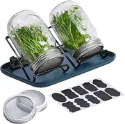 Pitcher Germination Kits - Growing Growing Kit with Stainless Steel Stand and Tray - Germination Kit with Tray, Stainless Steel Stand, Grow Your Own Sprout
