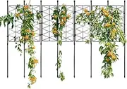 Indoor Plant Trellis,Lattice Frame Stake for Houseplant Support - Garden Climbing Plant Support Stand for Clematis, Sweet Peas, Roses, Morning Glories