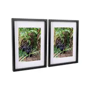 Nicola Spring 3D Box Photo Frames with White A4 Mounts - A3 (12" x 17") - Pack of 2