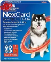 Spectra Chewables for Dogs 30.1–60kg 6 Pack Flea Tick Worm Monthly Protection