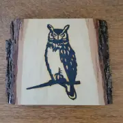 Wise Owl – Live Edge Rustic Plaque – Solar Pyrography Art