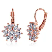 2 SETS Rose Gold Zircon Ear Buckle Earrings