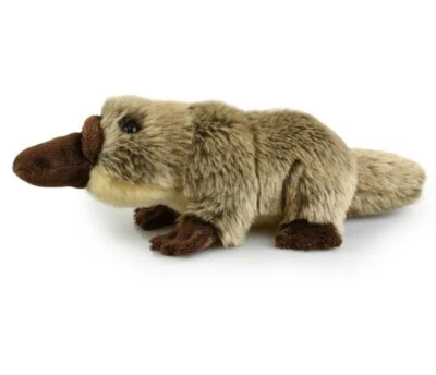 Lil Friends Platypus Plush Soft Toy 25cm Stuffed Animal by Korimco