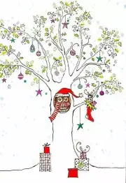 FESTIVE OWL CHRISTMAS CARD WITH DECORATED ENVELOPES by PETER PAUPER PRESS (8)