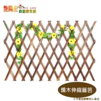 在飛比找momo購物網優惠-【艷陽庄】燻木伸縮籬笆 園藝造景 木製圍籬(H65cmx 2