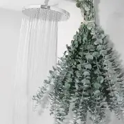 12 PCS Dried Eucalyptus Bundle for Shower - 17" Large Preserved 12pcs