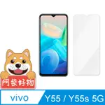 阿柴好物 VIVO Y55/Y55S 5G 非滿版 9H鋼化玻璃貼