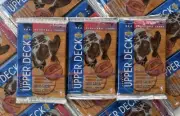1993-94 Upper Deck NBA Basketball Series 1 Hobby - 3x Pack Lot - Jordan