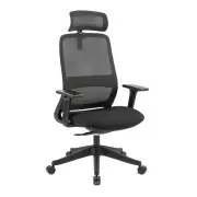 Maestro Furniture Dian High Mesh Back Molded Foam Seat Ergonomic Computer Office Working Chair Black