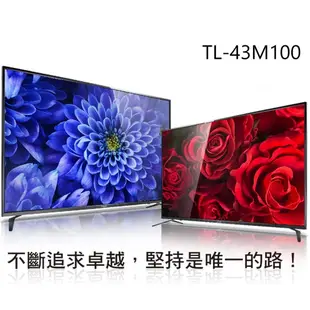 奇美 43吋 4K電視(M100系列-TL-43M100)