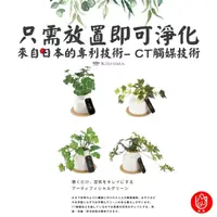 在飛比找momo購物網優惠-【日物販所】日本除臭淨化仿真迷你龜背芋/三葉草/多肉植物 1