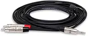 Hosa Rean 3.5 mm TRS to Dual RCA Pro Stereo Breakout Cable, 3 Feet