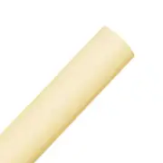 Spectrum Non-Reflective Full Paper Roll Backdrop (2.2 x 10M) - Vanilla Bean I...