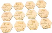 RORPOIR Monthly Commemorative Growth Cards 12pcs Wooden Milestone Blocks for Photo Props