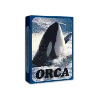 在飛比找蝦皮商城優惠-虎鯨卡 ORCA Cards｜德國OH卡，投射卡，關於虎鯨生