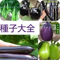 在飛比找蝦皮購物優惠-茄子種子大全特長茄子種子 綠長茄子 圓茄王 白茄子 四季種植