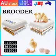 36/64 Egg Incubator Fully Automatic Egg Turning Hatcher Quail Chicken Duck AU