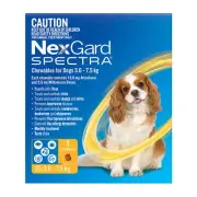 NEXGARD SPECTRA Dogs 3.6-7.5kg 3 Pk & 6 PK Flea & Tick Treatment Pet Dog Chew