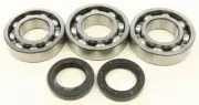 All Balls Racing Crankshaft/Main Bearing & Seal Kit 24-1084