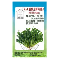 在飛比找PChome24h購物優惠-【蔬菜工坊】A64.裂葉芝麻菜種子