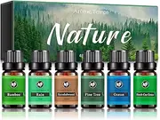 Essential Oils,6pcsx 10ml Nature Fragrance Oil Pure Essential Oils Kit for Diffuser-Bamboo,Rain,Sandalwood,Pine Tree,Ocean,Fresh Cut Grase Aromatherapy Oils sessential Oil Set