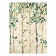 White Birchtrees Canvas Print