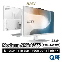 在飛比找蝦皮商城優惠-MSI 微星 Modern AM242TP 24吋 12M-