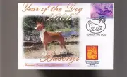 Basenji 2006 C/I Year Of The Dog Stamp Cover 4